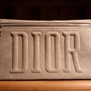 Dior Gray Flocked Beauty/Cosmetics bag